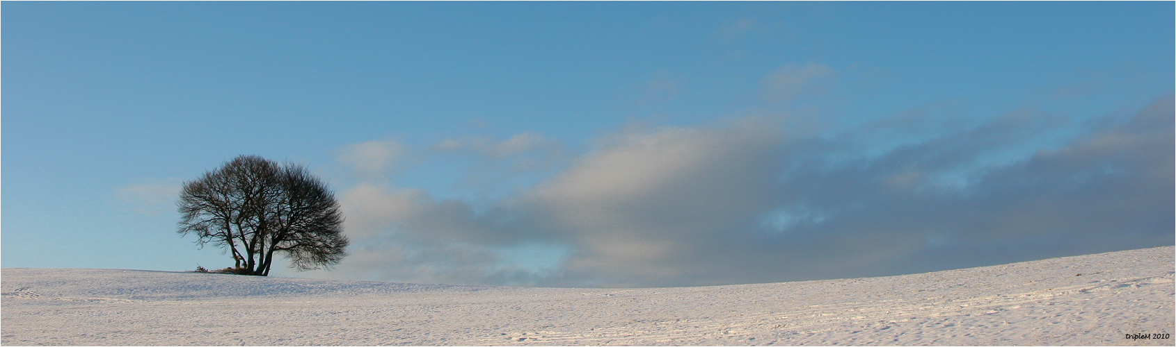 Die Alb V Panorama