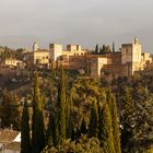 Die Alhambra im Frühling