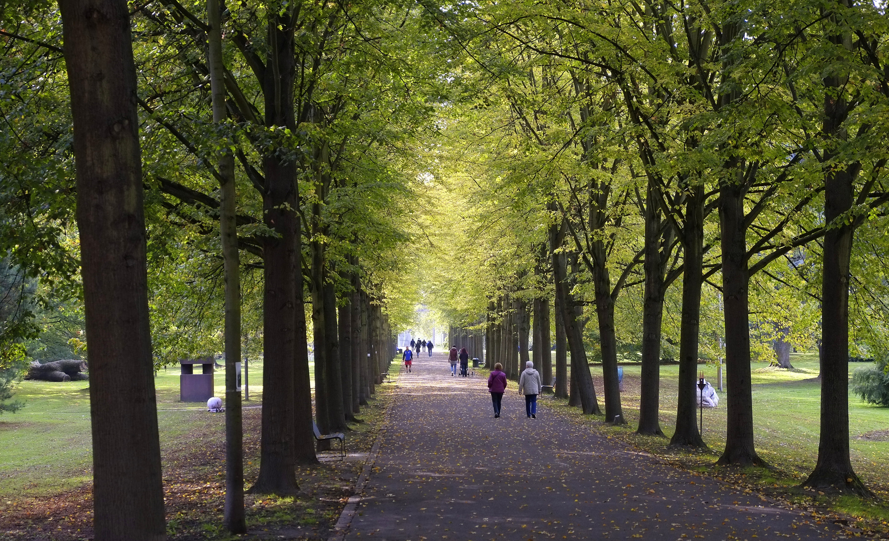 die Allee