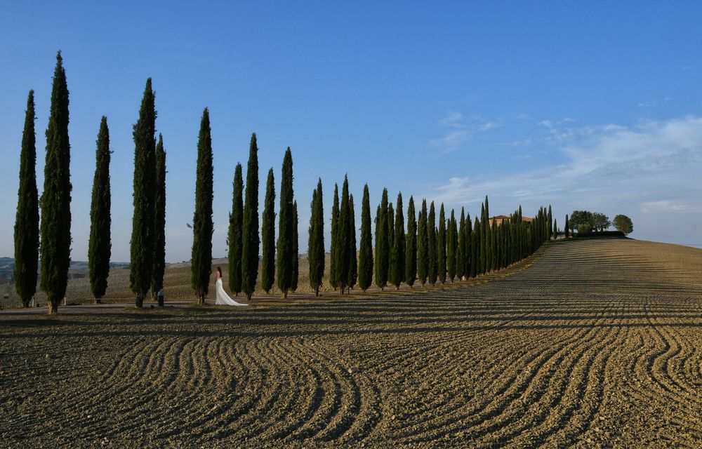 die Allee Foto & Bild world, natur, italien Bilder auf