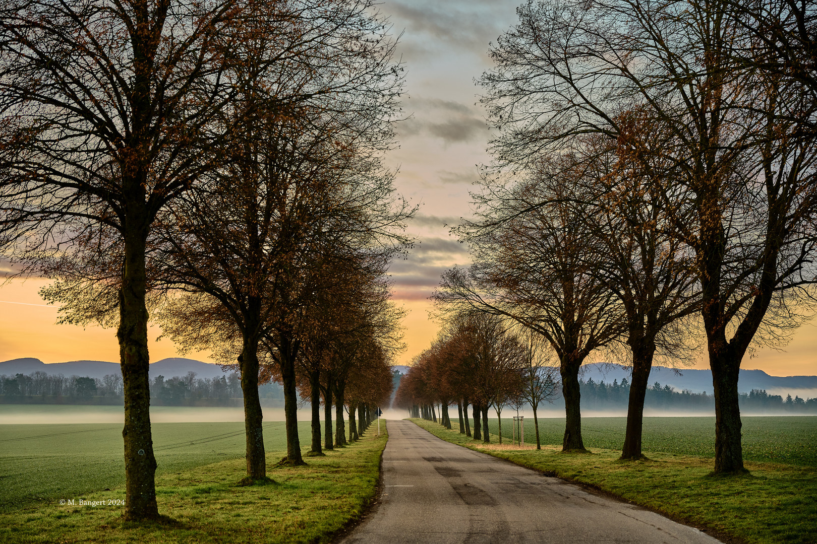 Die Allee bei Sonnenaufgang