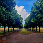 Die Allee hinter'm Park von Schloss Brühl ...