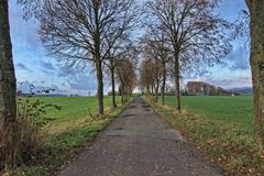 Die Allee II