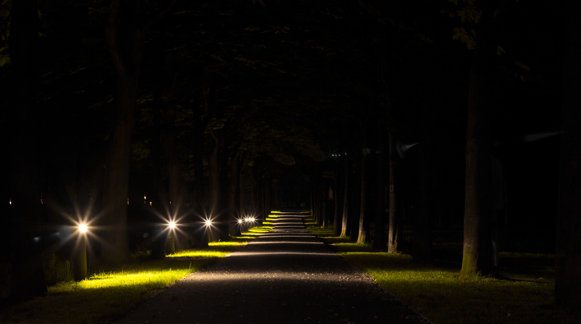 Die Allee ins Licht