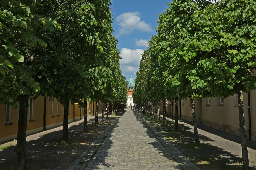 Die Allee vom Schloß Lichtenwalde