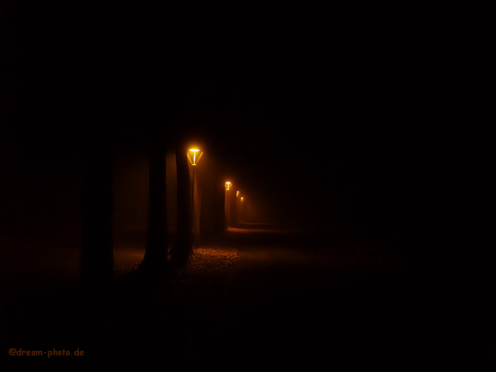 Die Allee von Schloß Nordkirchen bei Nacht und Nebel