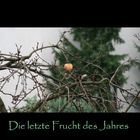 Die allerletzte Frucht