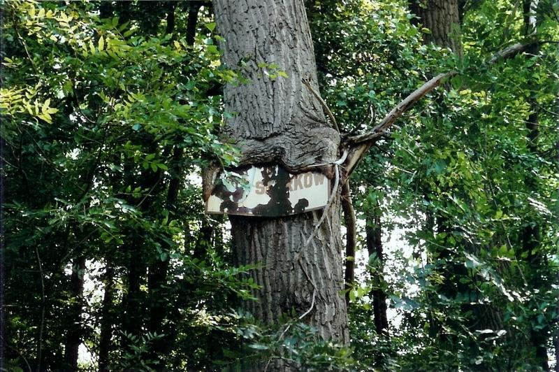 Die alles verschlingende Mutter Natur...