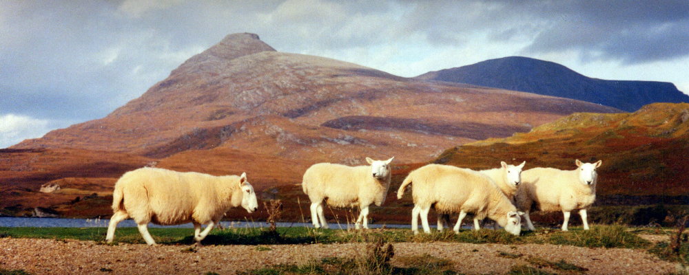 Die allgegenwärtige Bevölkerungsmehrheit der Highlands