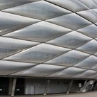 Die Allianz Arena (3)