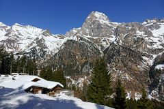 die Allrißalm mit Pflerscher Tribulaun