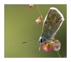 Die alltäglichen Wunder der Natur