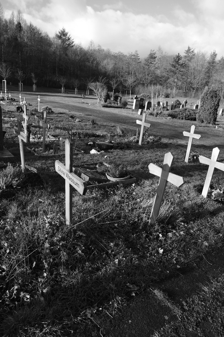 Die Alltäglichkeit des Todes - neue Gräber auf dem Dornhaldenfriedhof in Stuttgart 2021