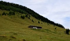 Die Alm