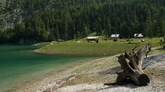 die Alm am See