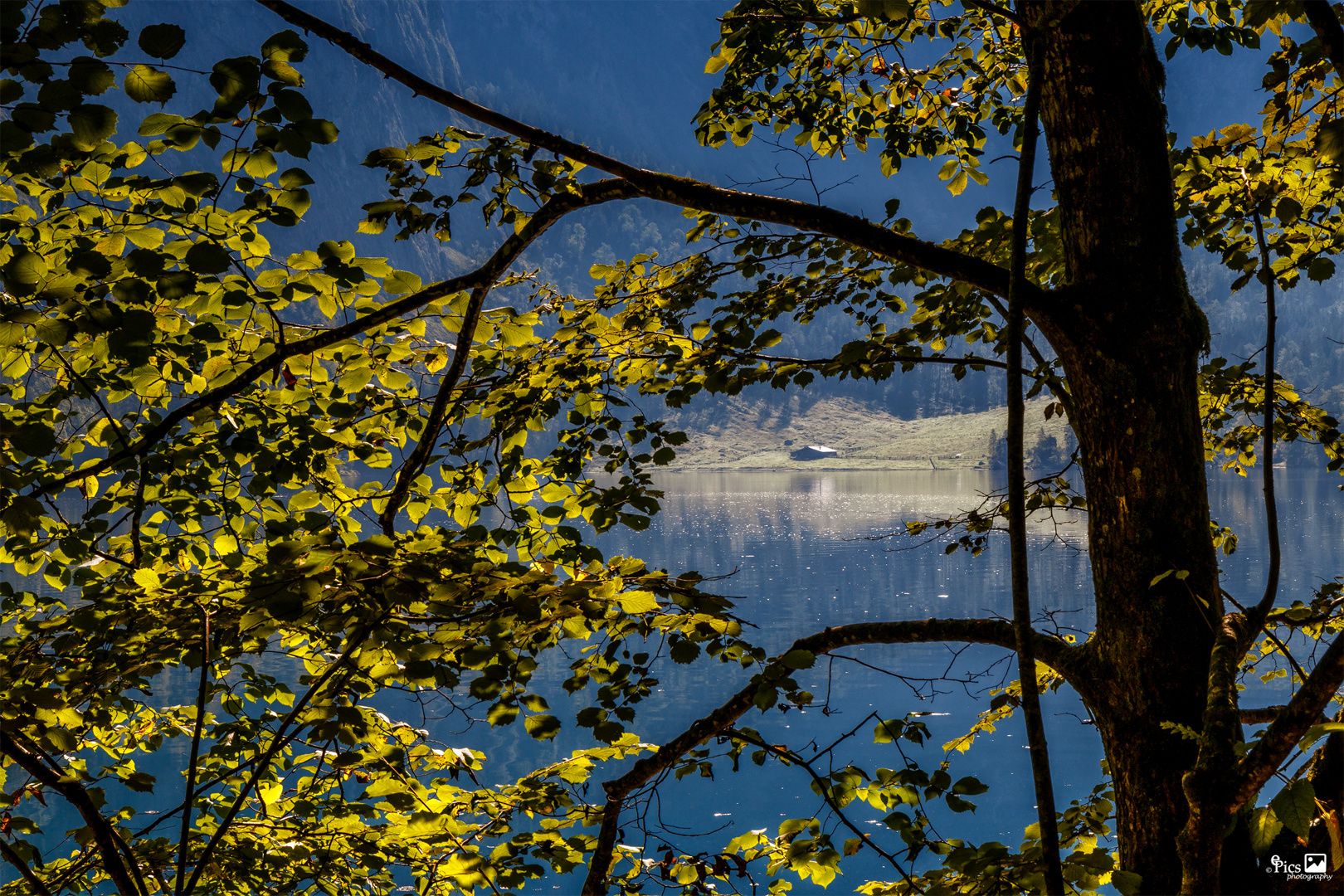 Die Alm im Herbst - Bayern527