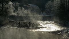 die Alm im Nebel