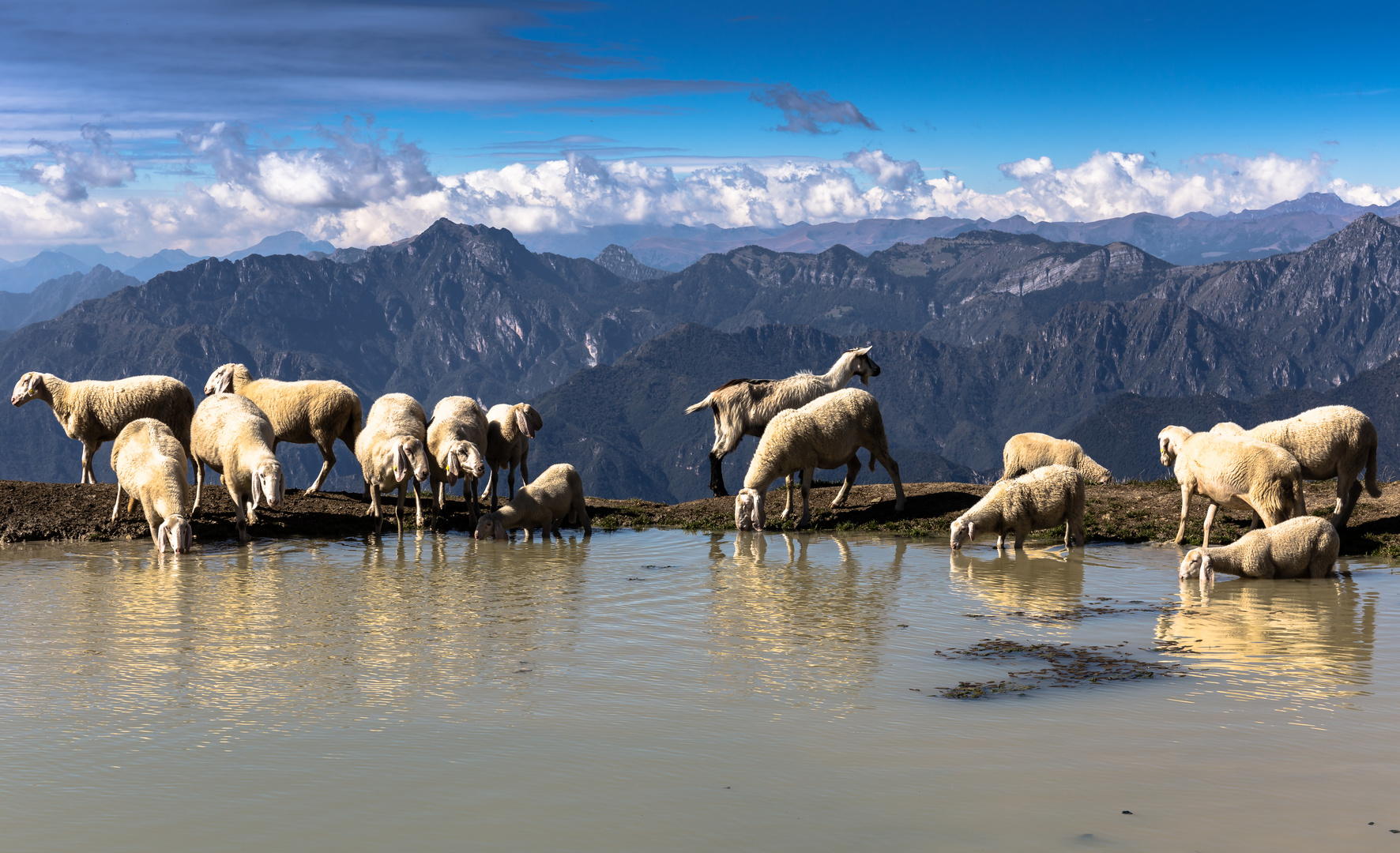 Die Almen auf dem Monte Baldo