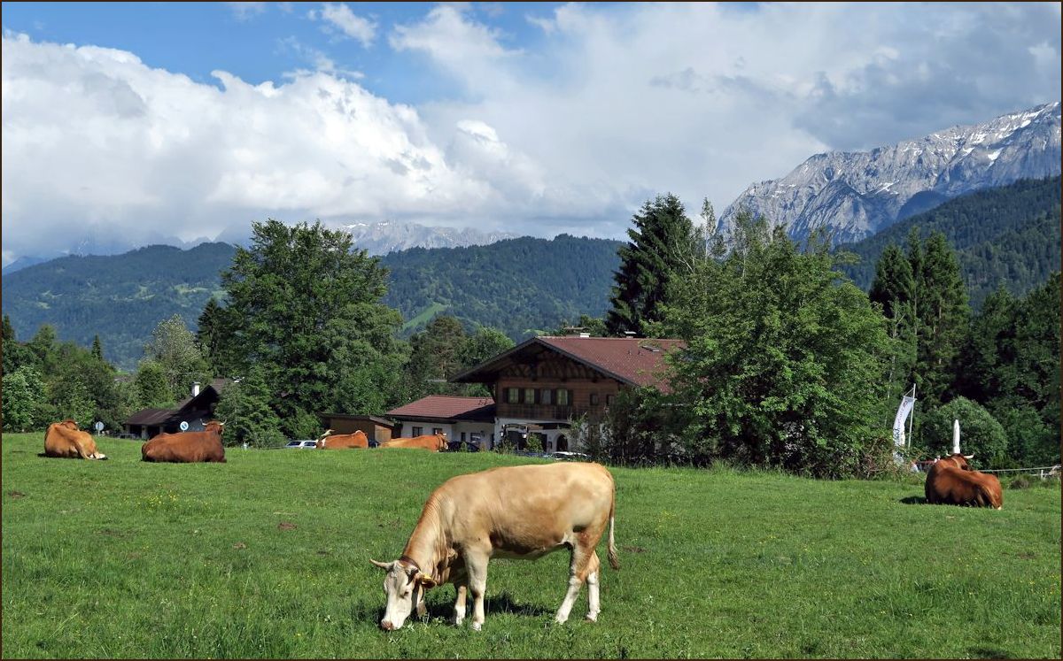 Die Almhütte am Kramerplateau