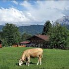 Die Almhütte am Kramerplateau