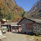 Die Alp Himalaya auf dem A.B.C. Trek