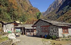 Die Alp Himalaya auf dem A.B.C. Trek