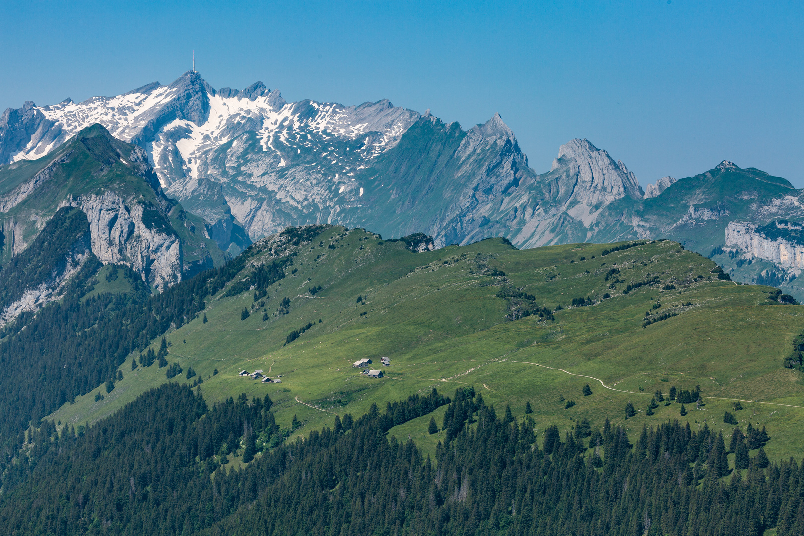 Die Alp Sigel und der Säntis