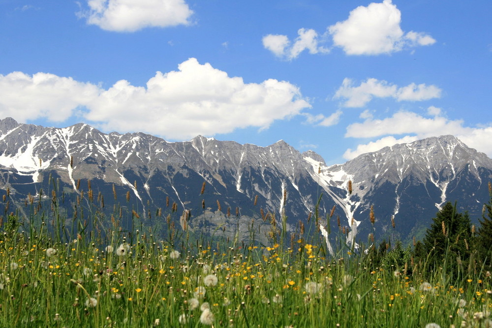 Die Alpen