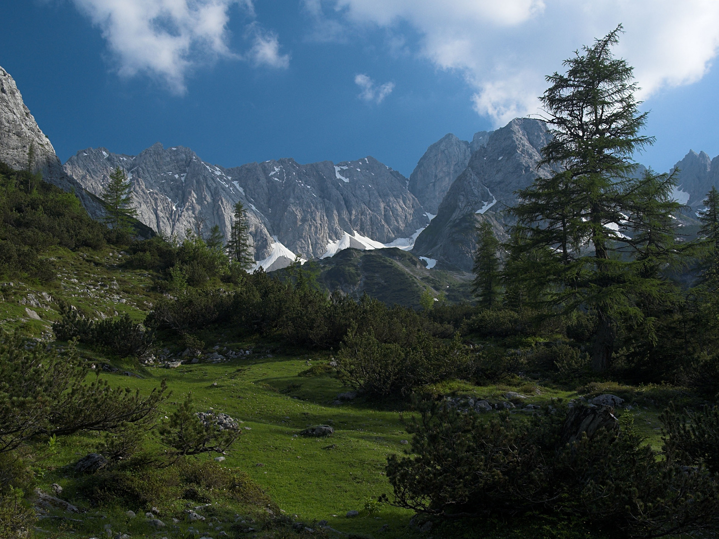 Die Alpen bei Ehrwald (Mieminger Kette)