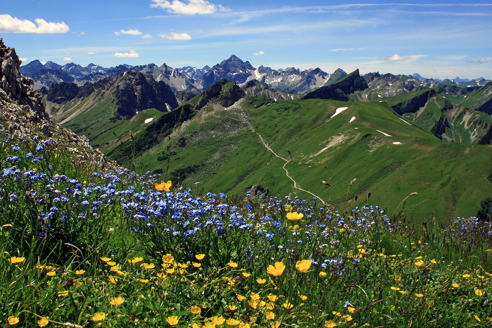 Die Alpen blühen! Foto & Bild world, natur, österreich Bilder auf