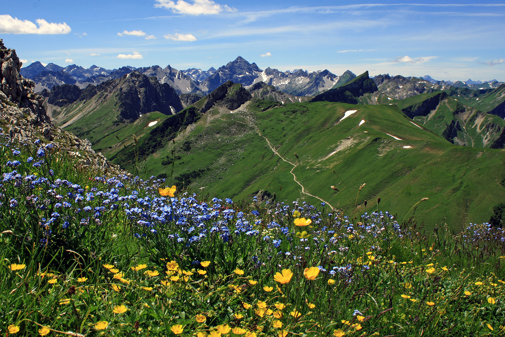 Die Alpen blühen!