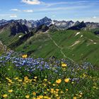 Die Alpen blühen!