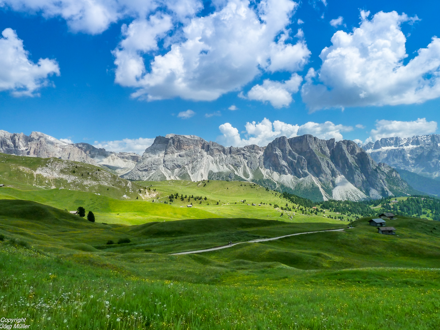 Die Alpen