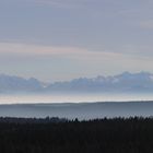 Die Alpen vom Schwarzwald aus gesehen (1)