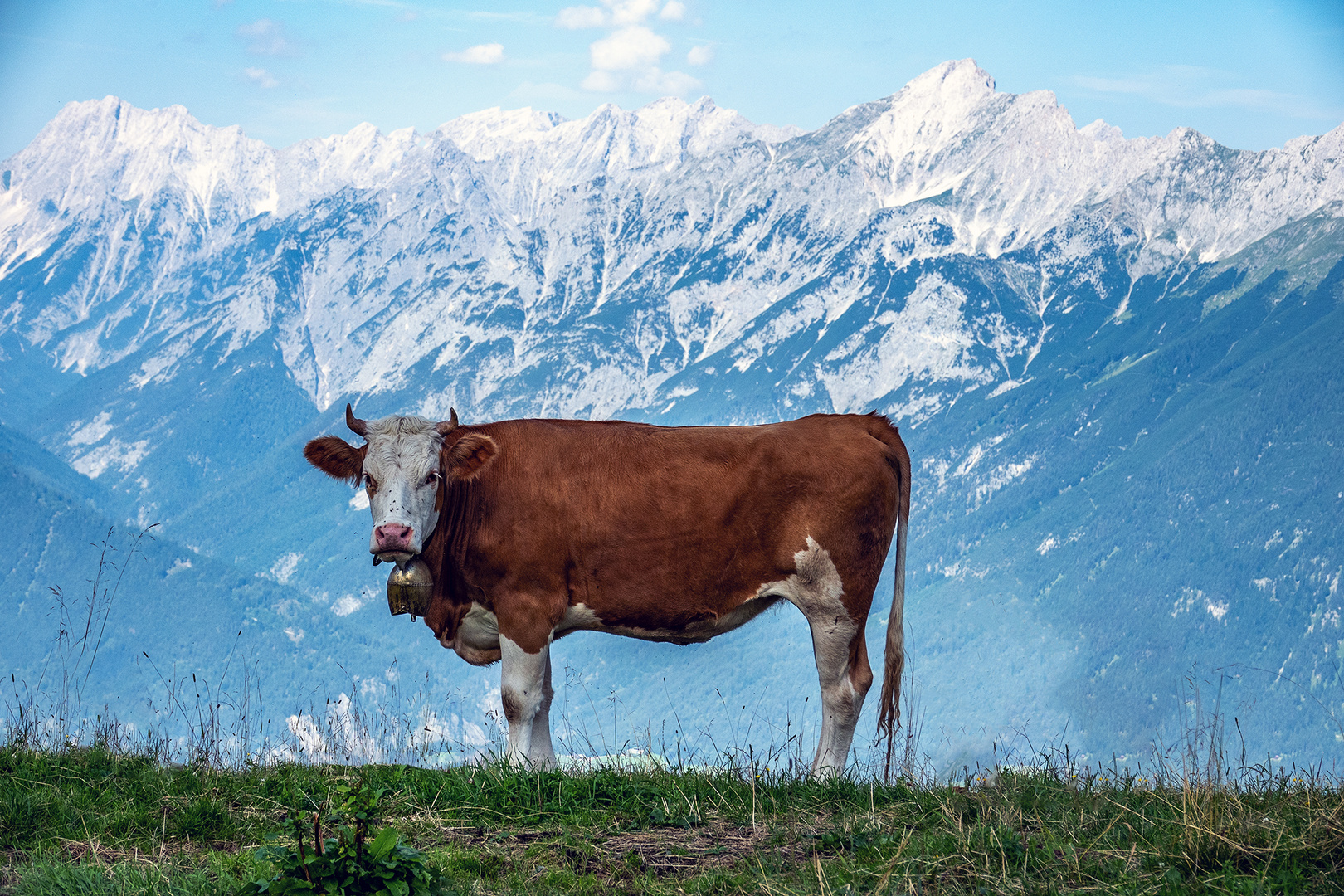 Die Alpenbergsteigerin