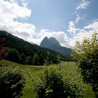 die Alpenspitze