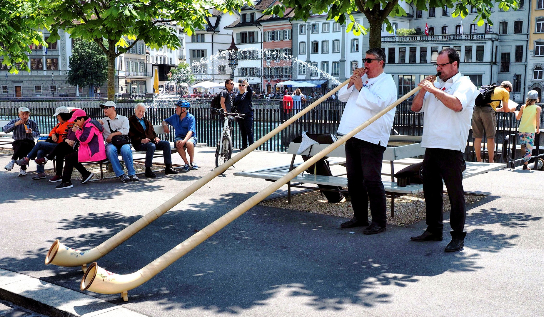 Die Alphorn-Bläser