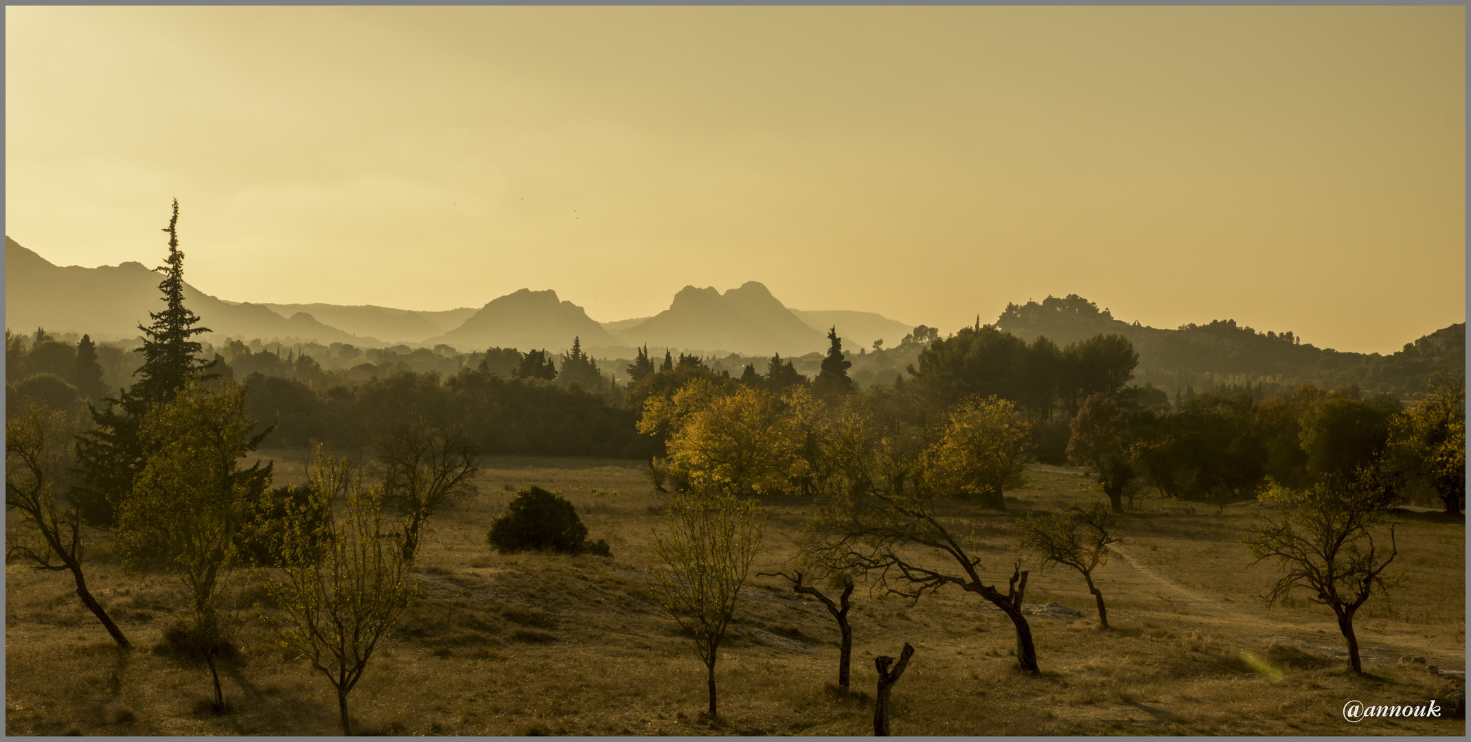 Die Alpilles im abendlichen Gegenlicht