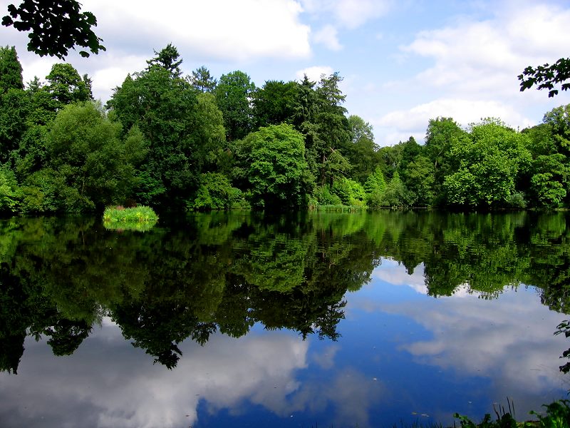 Die Alster