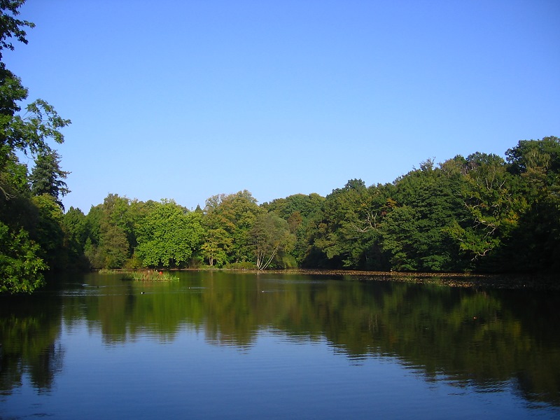 Die Alster im Oktober