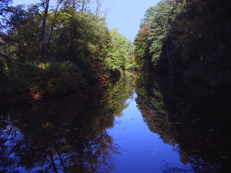 Die Alster im Oktober2