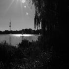 die Alster im Sommer