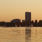 Die Alster in der goldenen Sonne