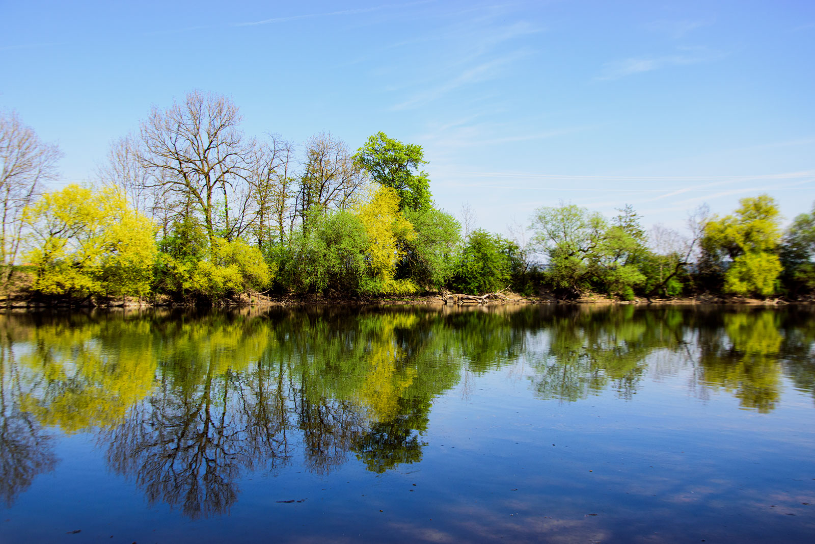 die Alte Aare (Häftli)