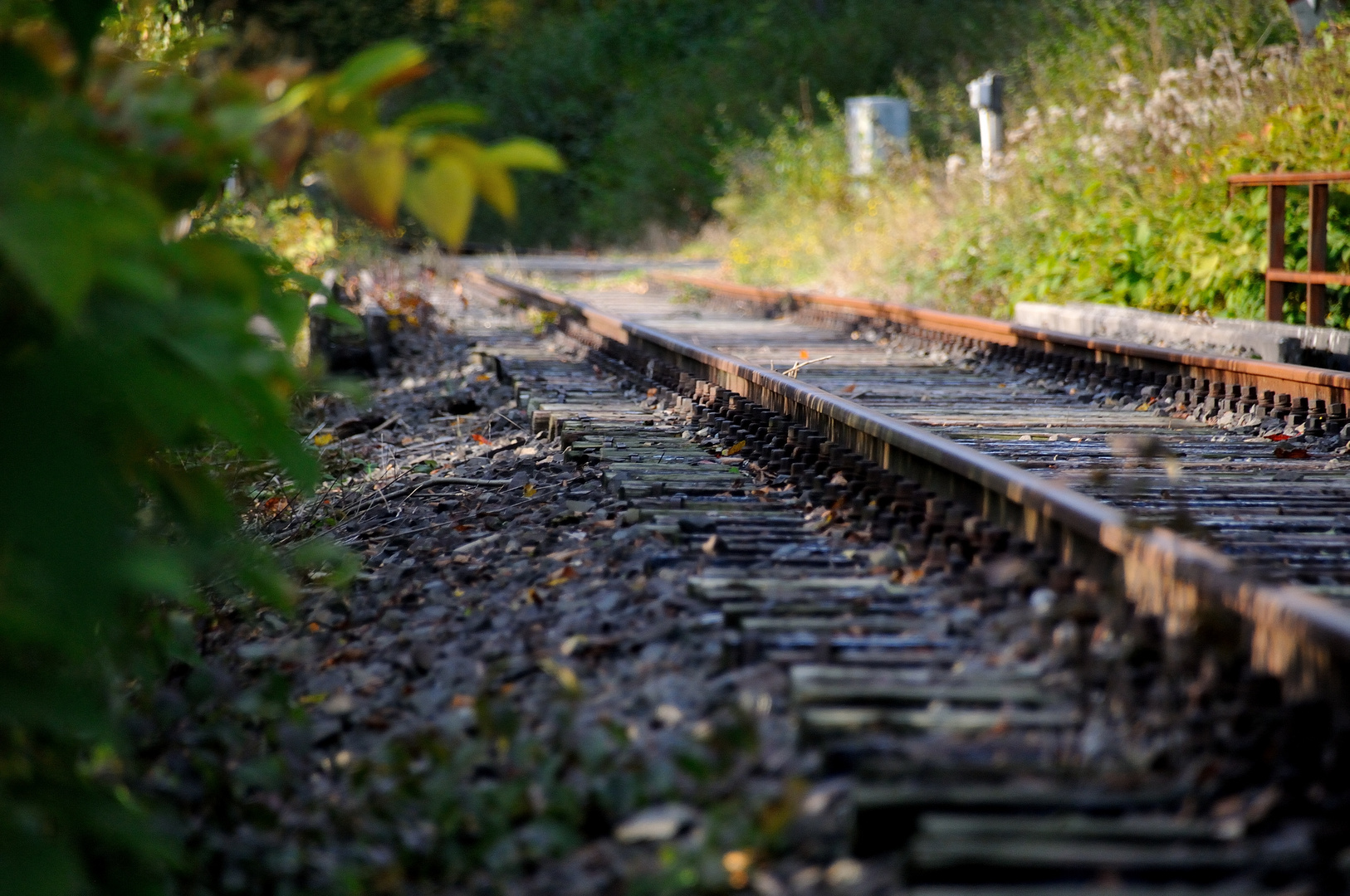 Die alte Bahntrasse in Beyenburg