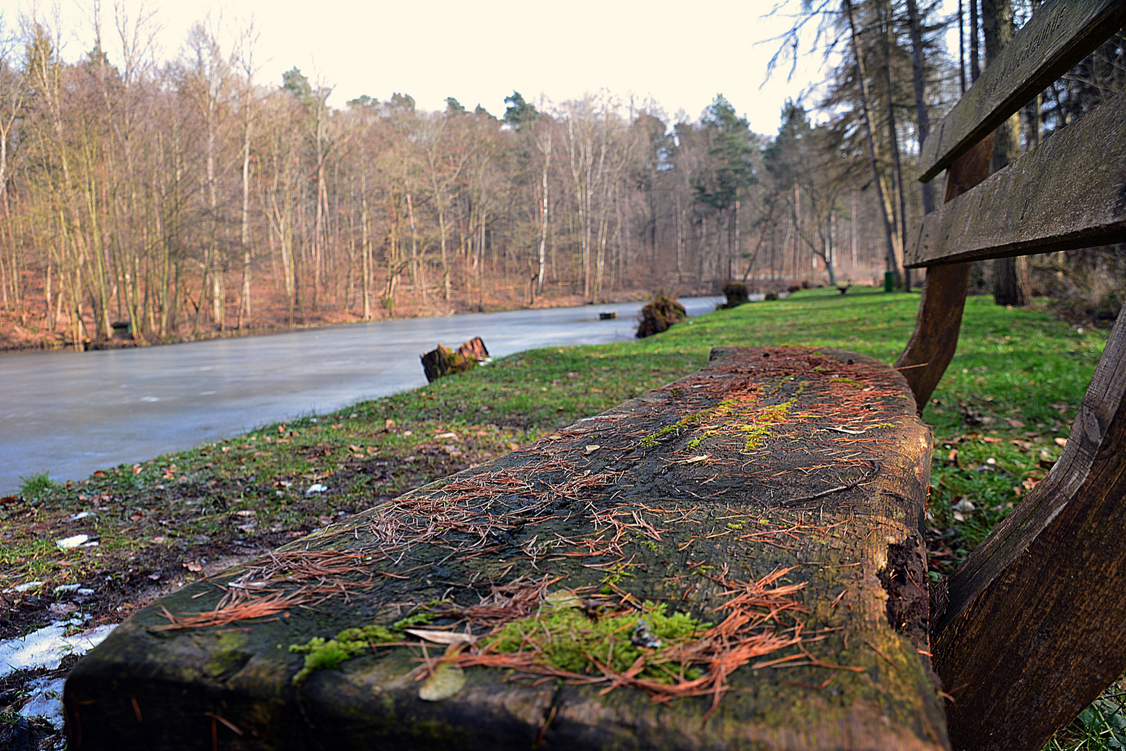 Die alte Bank am See