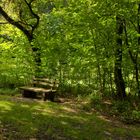 Die alte Bank im Wald