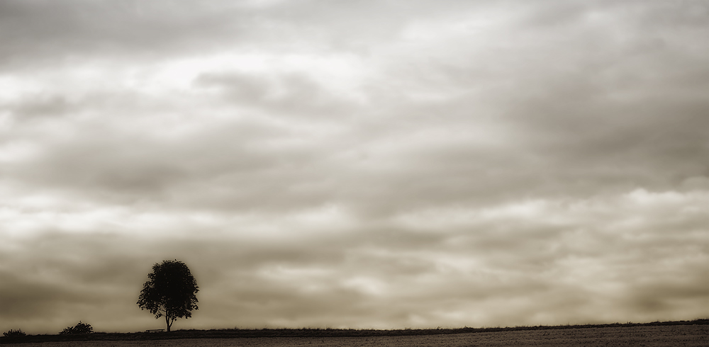 Die alte Bank und das Meer...........