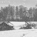 die alte Berghütte