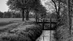 *** Die alte Brücke ***